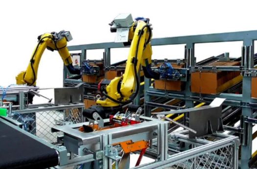 Case Packaging Solutions