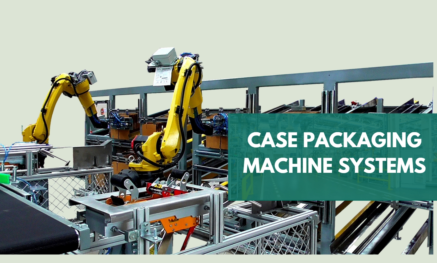 robotic-case-packaging