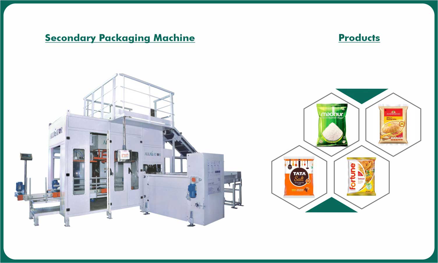 secondary-packaging-machine-automatic-pouch-packing-system-image