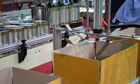Secondary Packaging Solutions Frozen Food