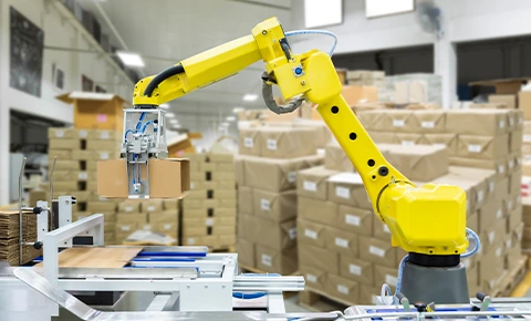 Automation in Pallet Packing