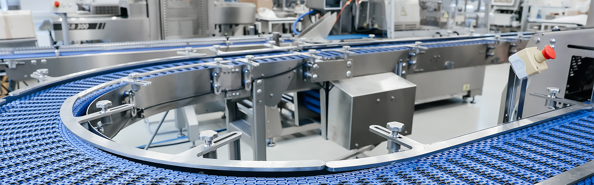 Custom vs Standard Conveyor Systems