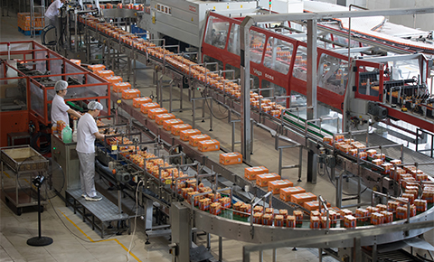 packaging machinery for food and fmcg industry with workers monitoring automated carton handling on a high speed production line