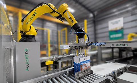 robotic box packing machine automating carton handling and reducing labor costs in industrial packaging