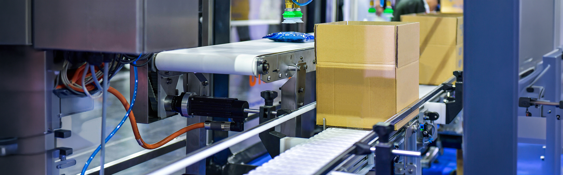 Food industry packaging partner providing automated packaging and palletizing solutions for manufacturing operations